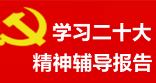 學習二十大精神輔導報告