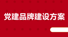 黨建品牌建設方案