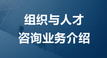 組織與人才咨詢項目簡介