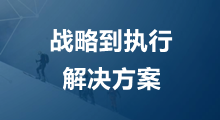 戰略到執行咨詢項目簡介