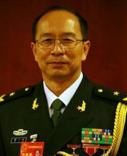 金一南
